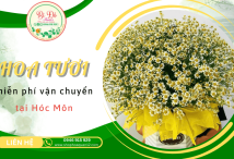 Hoa tươi chất lượng, miễn phí vận chuyển tại Shop hoa Bí Đỏ Hóc Môn
